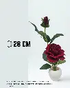 3.webp
