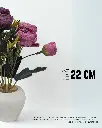 35.webp