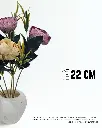41.webp