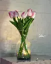 7.webp