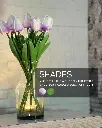 11.webp