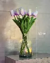 10.webp