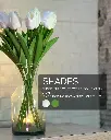 15.webp