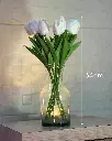 14.webp