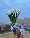 16.webp