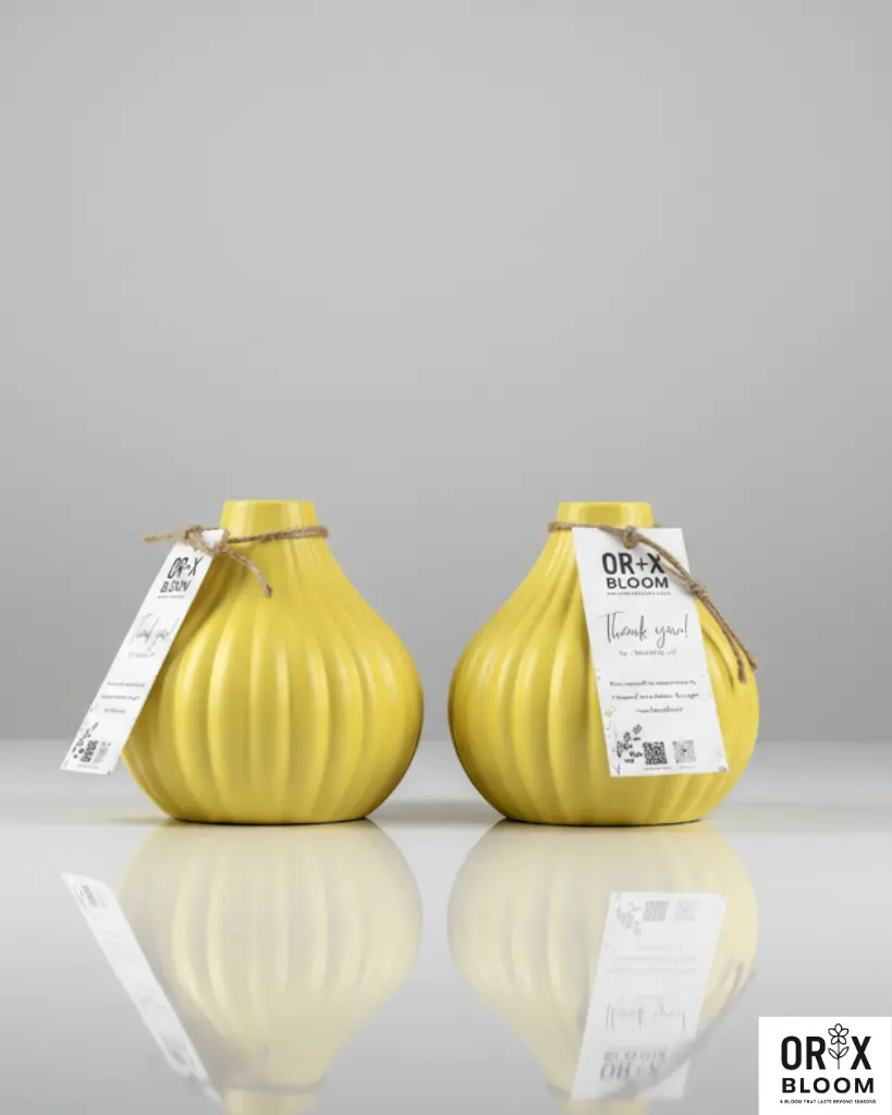 0005-6660178873613242829 5.webp