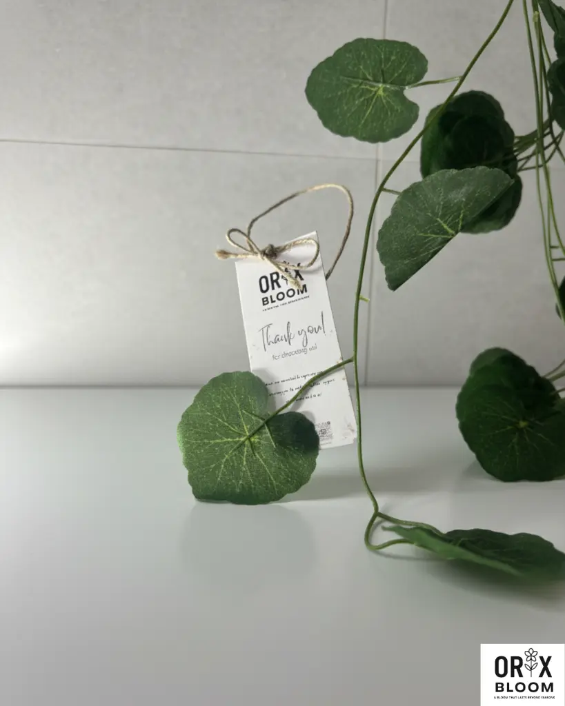 0001-3318507944181647557 1.webp