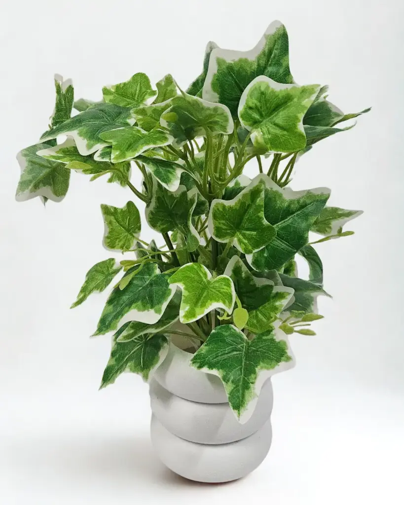 Lush Ivy