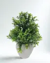 Greenlace