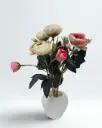  Blush Pink Ranunculus