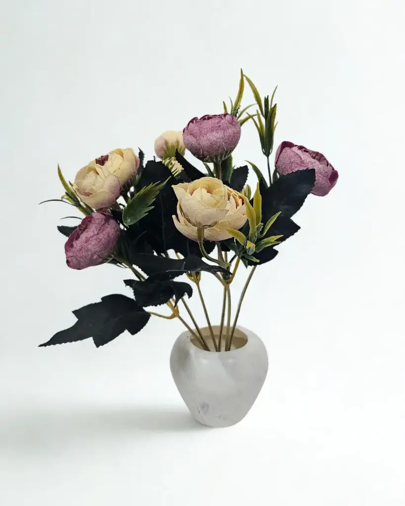 Blush Cream Ranunculus