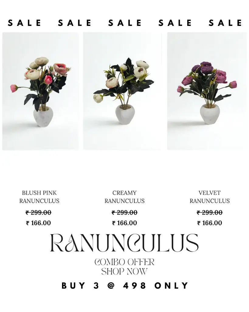 Ranunculus Combo