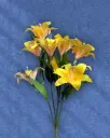 Yellow lily
