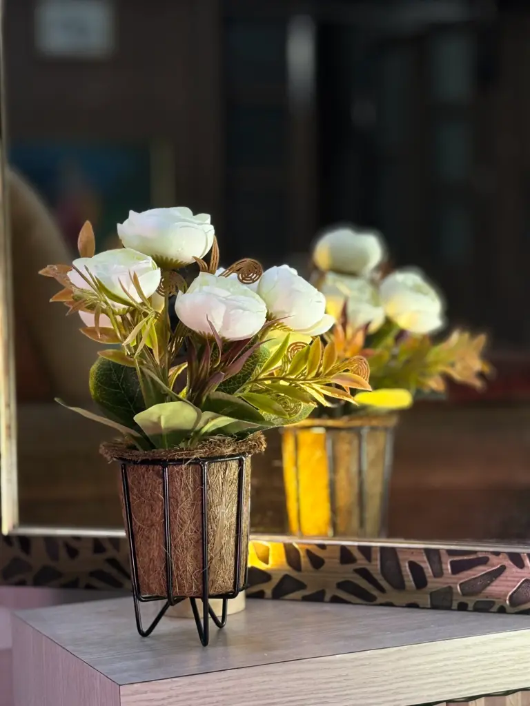 White Ranunculus (w/o vase) 