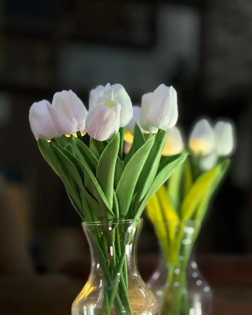 Pearl Tulip 