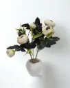 Creamy Ranunculus