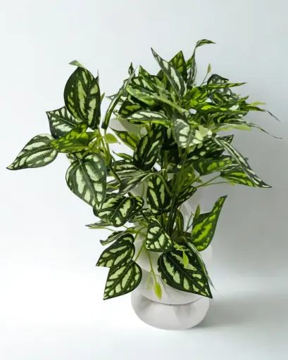 Evergreen Ivy Charm