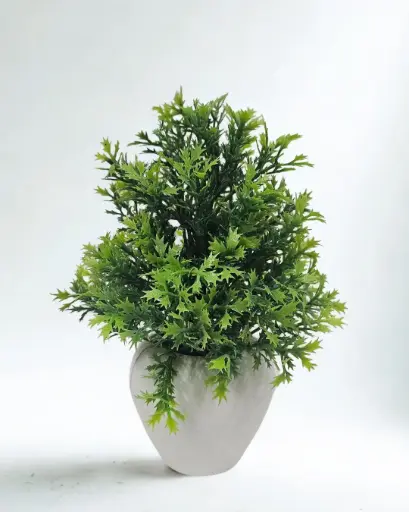 Greenlace