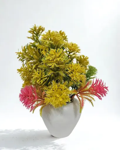 Sunblush Bloom