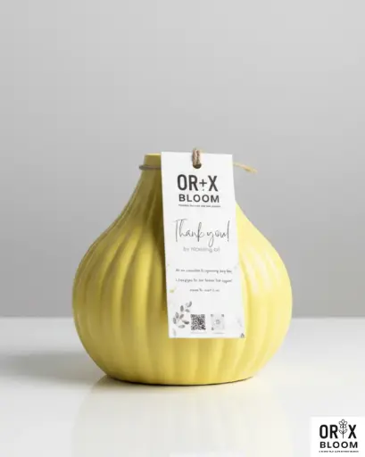 Onion Pot (Yellow)