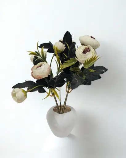 Creamy Ranunculus